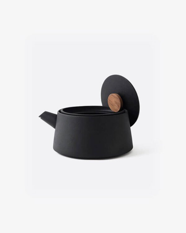 Iron kettle nambu tekki