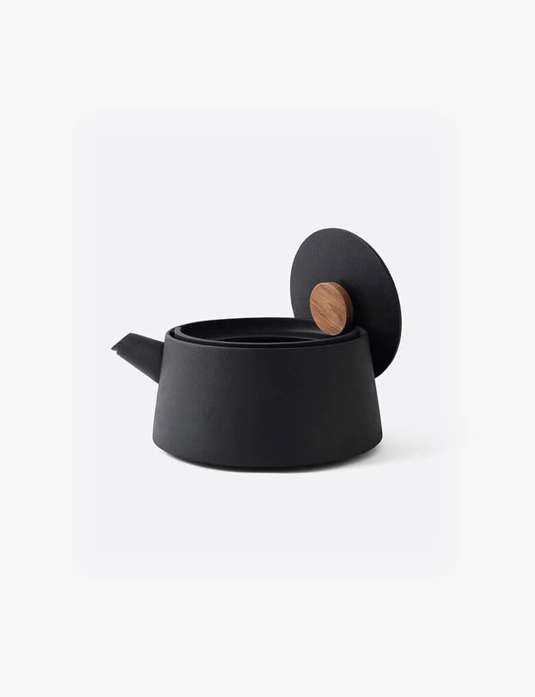 Iron kettle nambu tekki