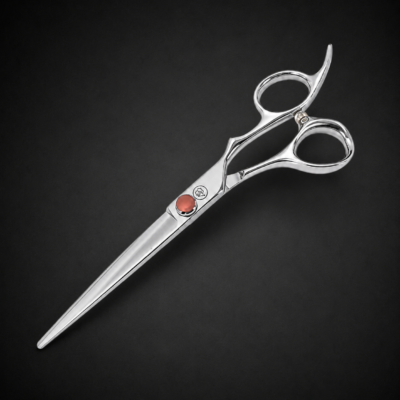 DE NEDERLANDSE BARBIER